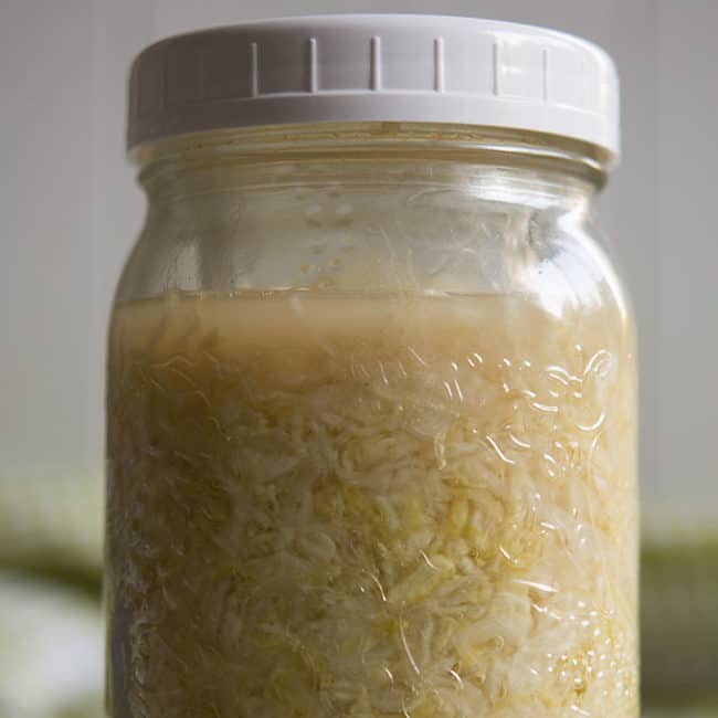 Front view view of a plain sauerkraut using small jelly jar as fermentation weight at day 14. | MakeSauerkraut.com