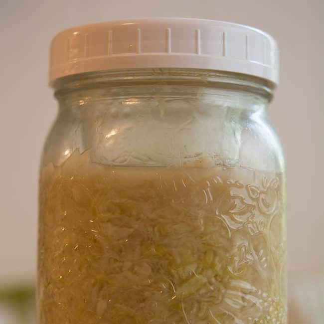 Front view view of a plain sauerkraut using small jelly jar as fermentation weight at day 21. | MakeSauerkraut.com