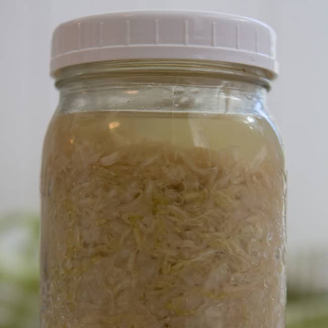 Front view view of a plain sauerkraut using small jelly jar as fermentation weight at day 28. | MakeSauerkraut.com