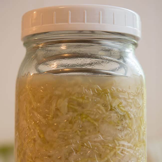 Front view view of a plain sauerkraut using Pickle Helix as fermentation weight at day 21. | MakeSauerkraut.com
