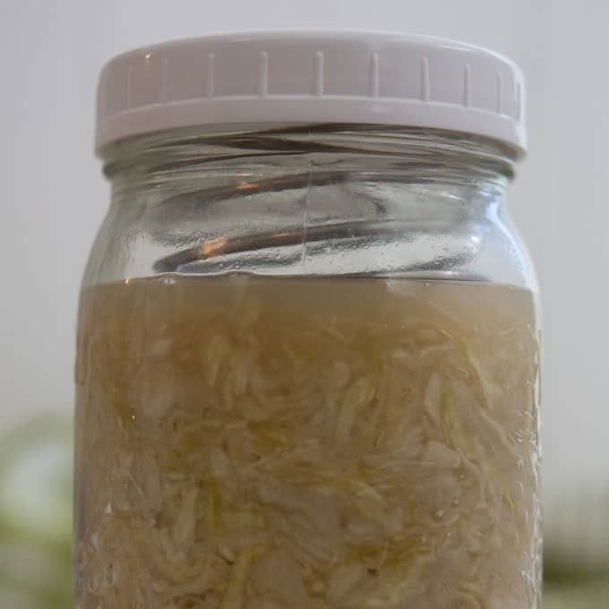A packed jar with sauerkraut and a PickleHelix, a stainless steel coiled spring as fermentation weight. | Makesauerkraut.com
