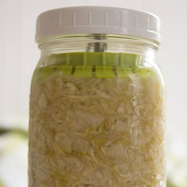 Front view view of a plain sauerkraut using Pickle Pusher as fermentation weight at day 14. | MakeSauerkraut.com