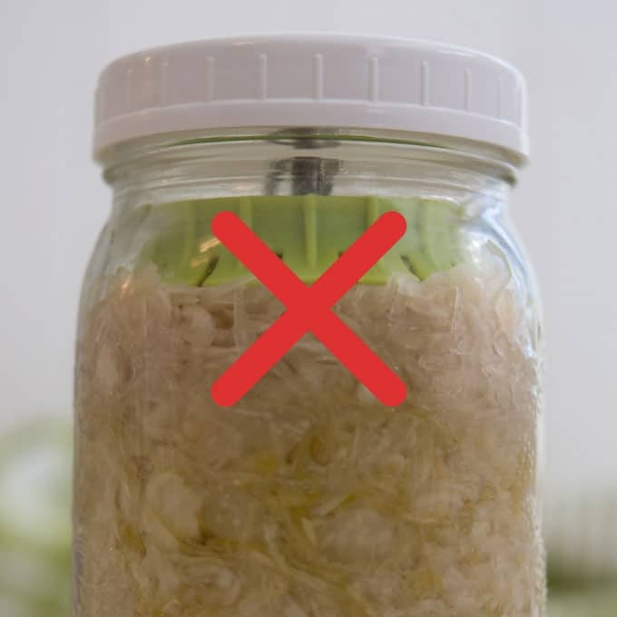BEST Fermentation Weight for Fermenting in Jars [28Day Challenge
