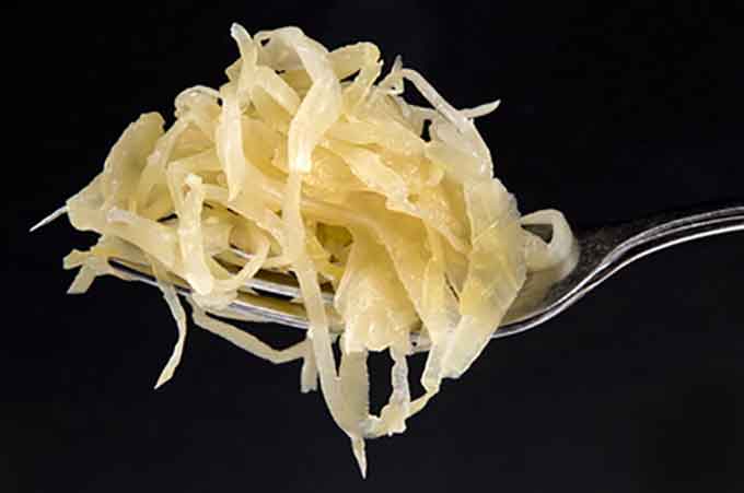 Small serving of plain sauerkraut in a metal fork over black background. | MakeSauerkraut.com