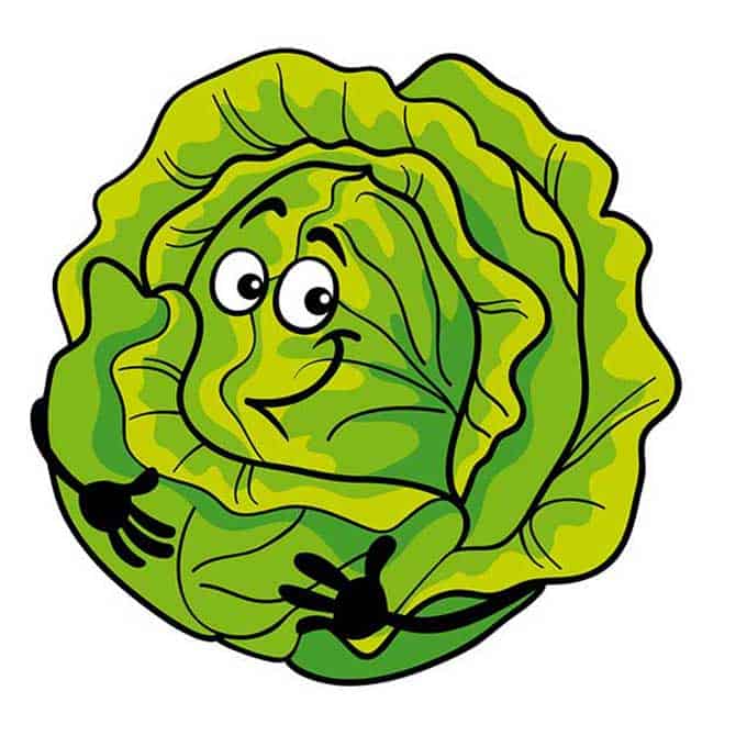 Cartoon illustration of a green cabbage with arms, eyes, and smile. | MakeSauerkraut.com