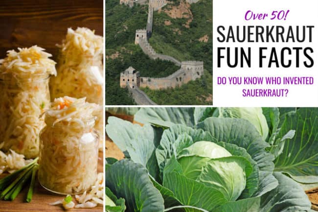 Sauerkraut Fun Facts: All about sauerkraut. - makesauerkraut.com