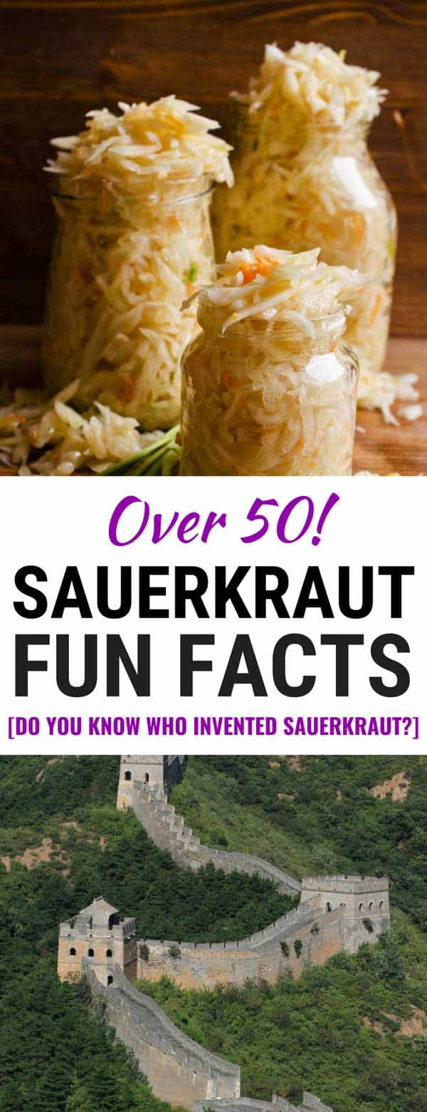 51 Fascinating Facts About Sauerkraut and Cabbage [WHO KNEW?]