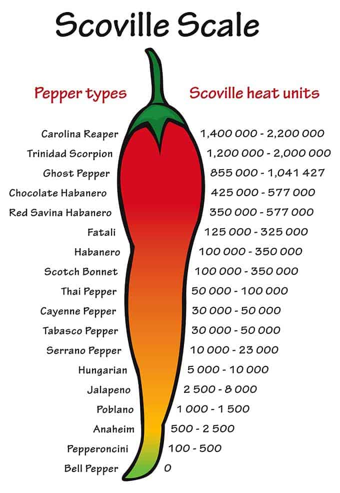 Cartoon illustration of a pepper showing Gochugaru, Korean red pepper ,is low on the Scoville heat units. | makesauerkraut.com