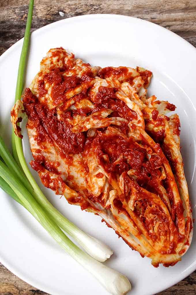 Gochugaru, Korean red pepper powder in a kimchi dish on white plate with fresh string onions at the side. | MakeSauerkraut.com