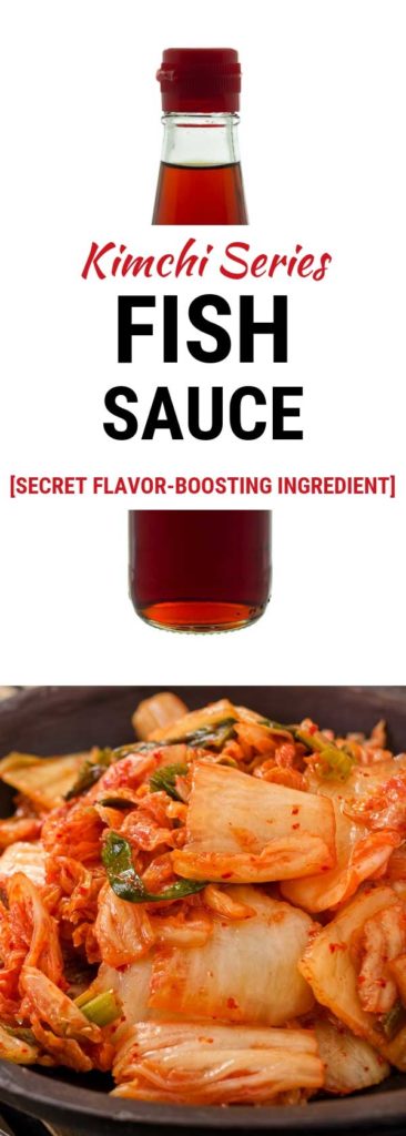 Kimchi Series: Fish Sauce | makesauerkraut.com