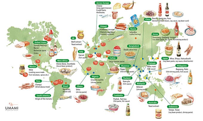 Illustration of the world map showing the different kinds of umami recipes of each country from the Umami Information Center. | MakeSauerkraut.com