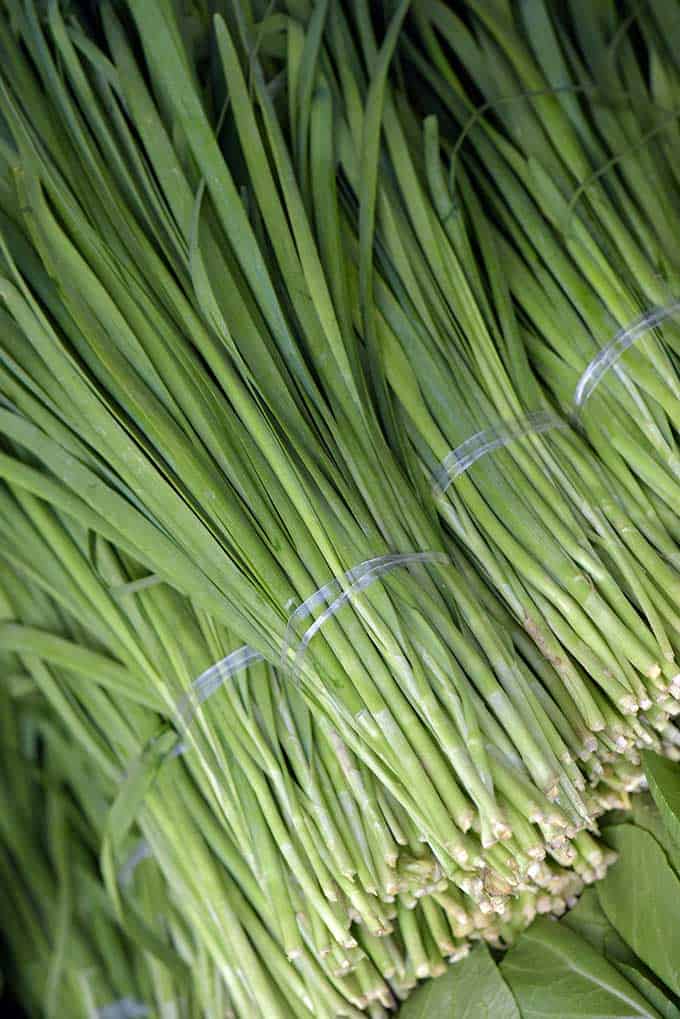 Bundles of Korean chives. | MakeSauerkraut.com