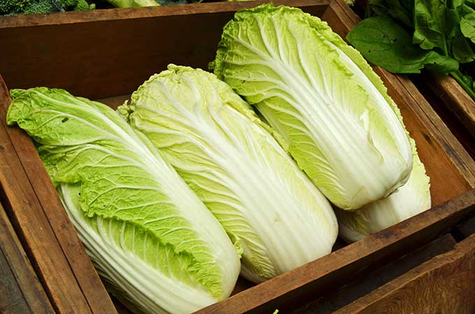 Napa cabbages lined inside a wooden crate. | MakeSauerkraut.com