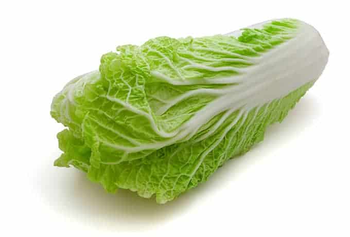 Green Napa cabbage or Chinese cabbage with an oblong shape and white stalk. | MakeSauerkraut.com