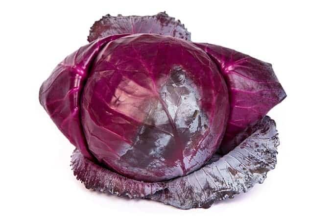 Round red cabbage. | MakeSauerkraut.com