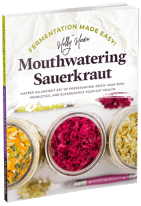Mouthwatering Sauerkraut paperback format. | MakeSauerkraut.com