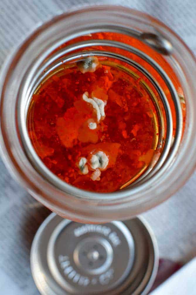 Top view of a PickleHelix used in a jar of fermenting pepper mash with mold that formed on the bits of pepper that floated to the surface. | MakeSauerkraut.com