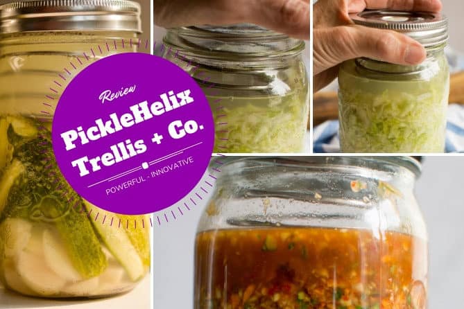 A review of the PickleHelix fermentation weight. | MakeSauerkraut.com