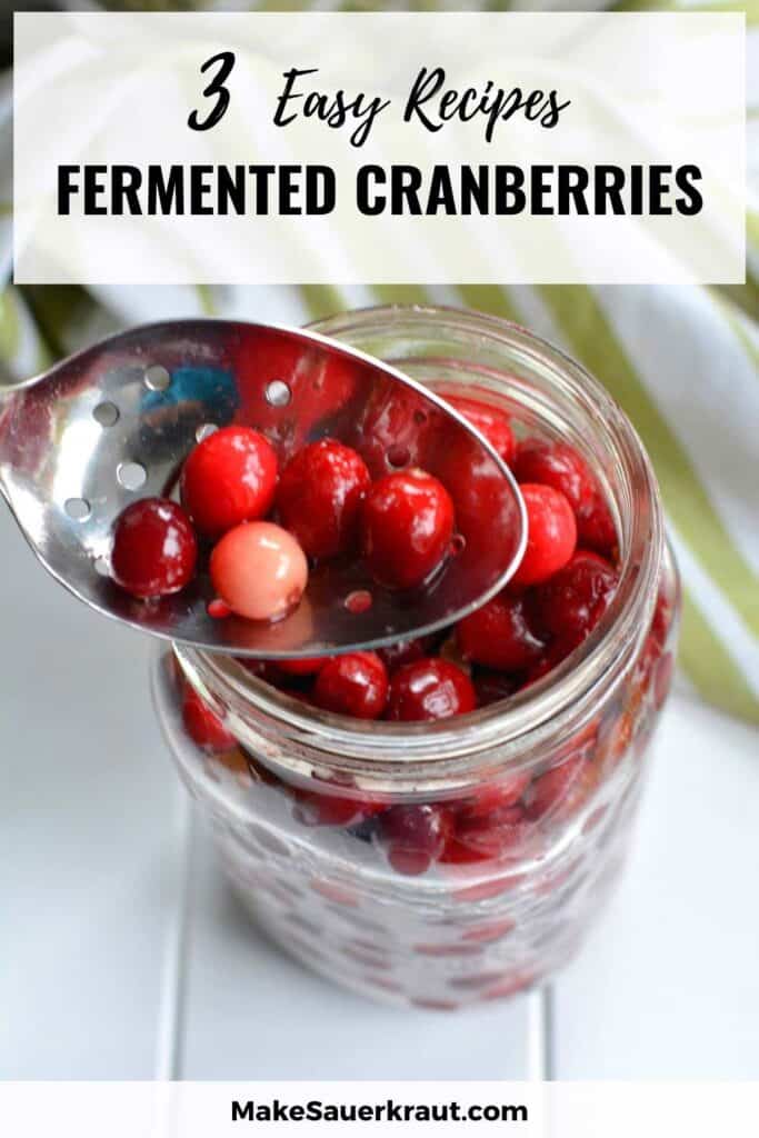 Fermented cranberries in a jar