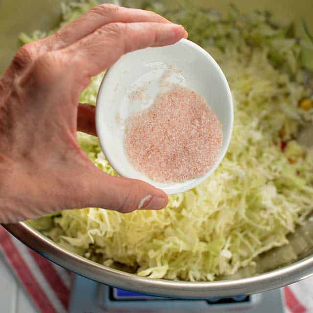 Hand holding a saucer of salt about to be added to a bowl of sliced cabbage and other flavoring ingredients. | Makesauerkraut.com