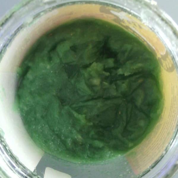 top view of fermented garlic that has turned blue inside a jar. | MakeSauerkraut.com
