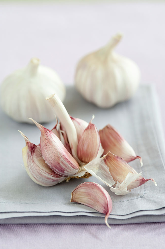 Head of hardneck garlic with cloves split apart. | MakeSauerkraut.com