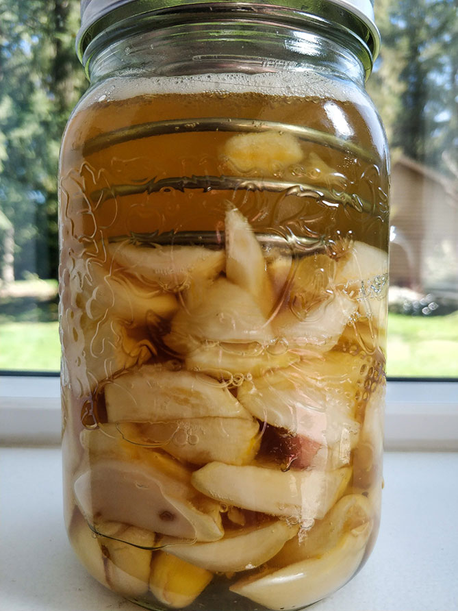 Frontal view of a glass jar filled with Honey Fermented Garlic Cloves. | MakeSauerkraut.com