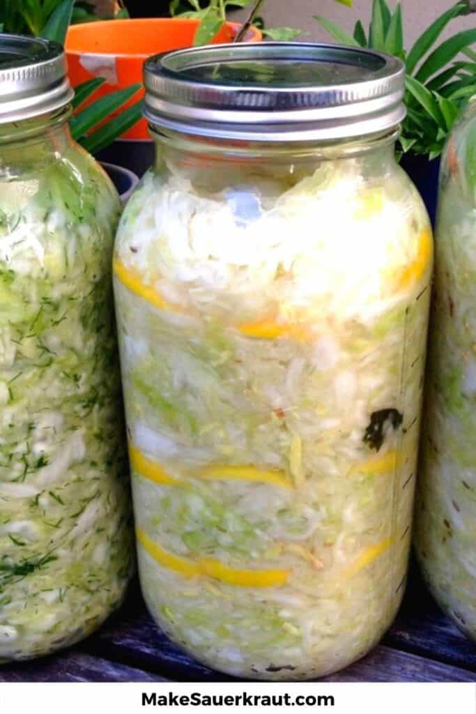 Jars of sauerkraut