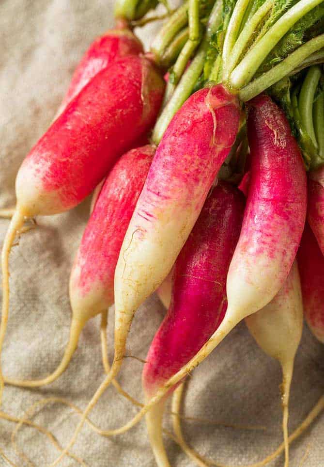 Bundle of French-breakfast-radish with pink bodies fading to white pointy tips. | MakeSauerkraut.com