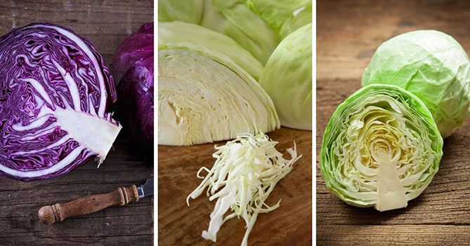 Three pictures of cabbage: red, winter and summer. | MakeSauerkraut.com