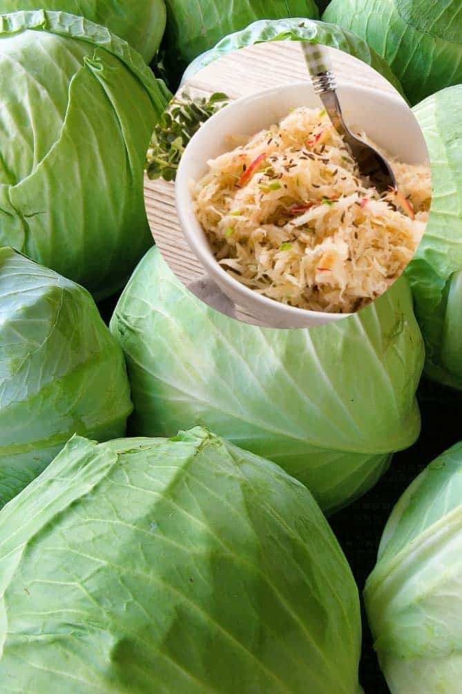 Group of green cabbage with inset of a bowl of sauerkraut. | MakeSauerkraut.com