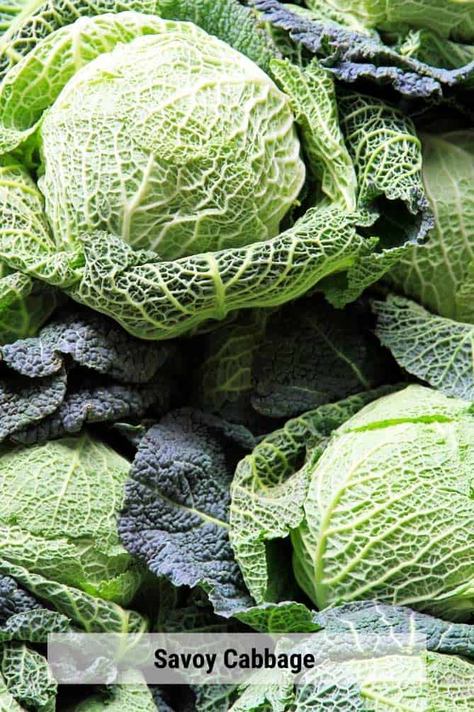 Heads of savoy cabbage in a pile. | MakeSauerkraut.com