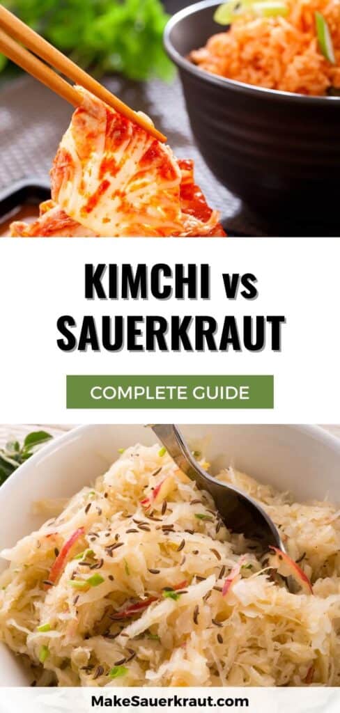 kimchi vs sauerkraut complete guide