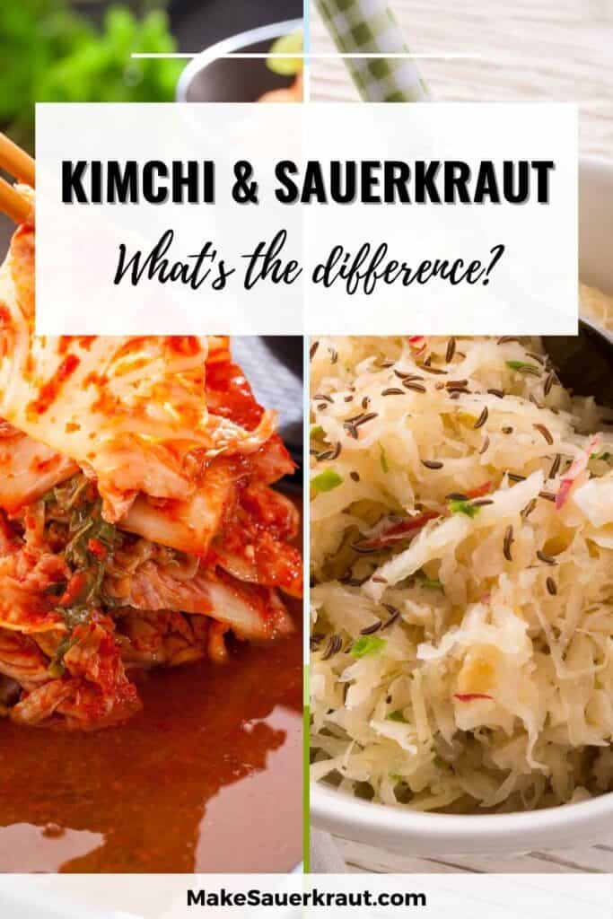 kimchi vs sauerkraut difference