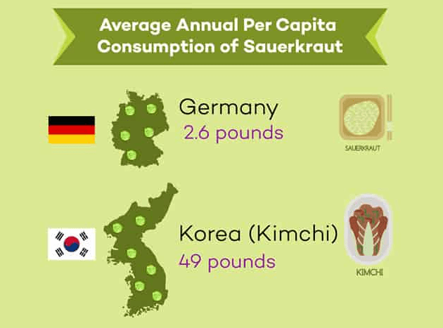 Short infographic on average annual per capita consumption of sauerkraut between Germany and Korea. | MakeSauerkraut.com