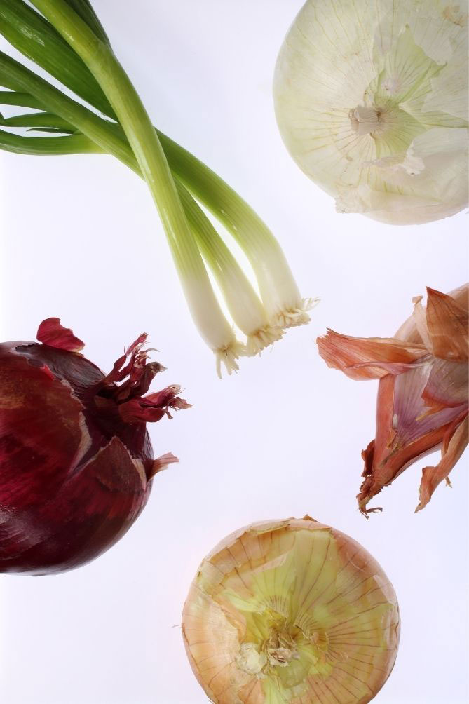 Different types of onions and string onions against white background. | MakeSauerkraut.com