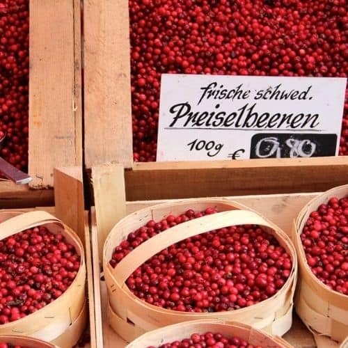 Baskets of fresh picked cranberries at the market. | MakeSauerkraut.com