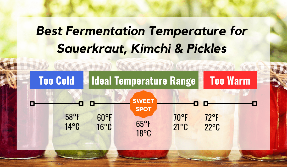 Fermentation Temperature Chart