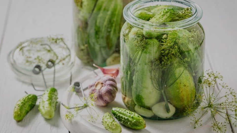 Jars packed with cucumbers. | MakeSauerkraut.com