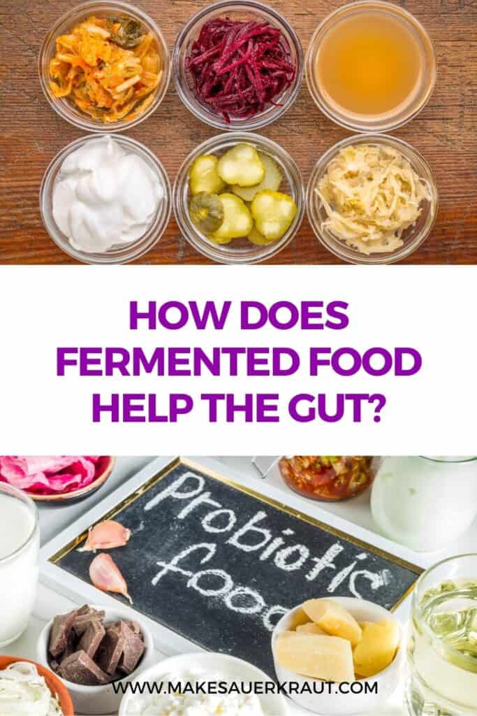 A set of fermented foods top view sauerkraut, pickles, red beets, apple cider vinegar, and yogurt. Probiotic foods text overlay How Does Fermented Food Help the Gut? Makesauerkraut.com.