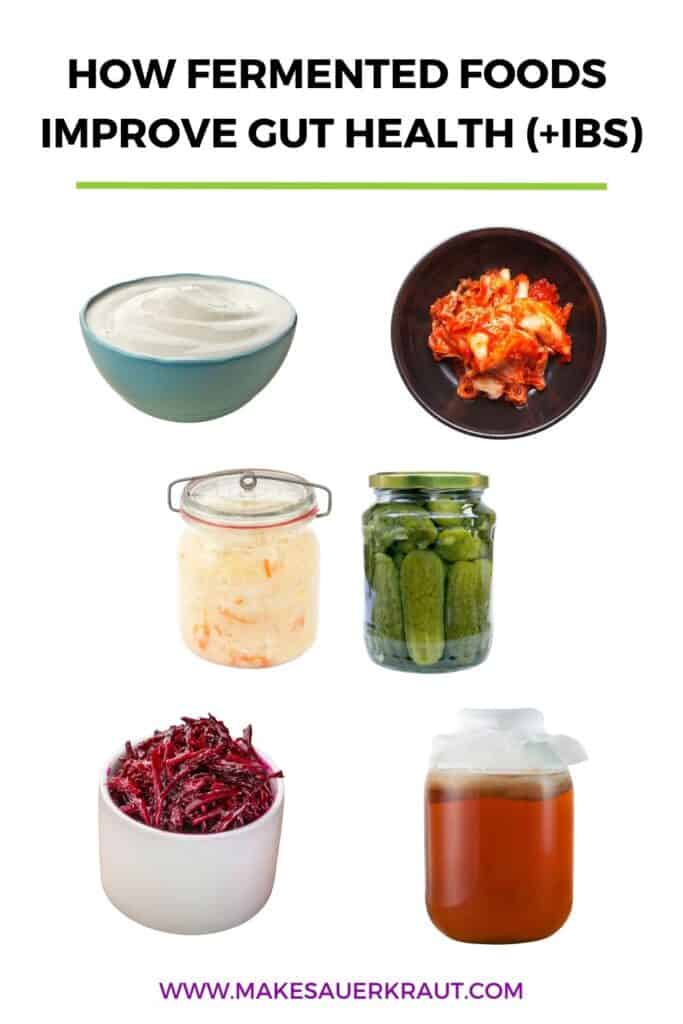 Photos of isolated fermented foods yogurt, kimchi, sauerkraut, pickles, red beets, and kombucha. Text overlay How Fermented Foods Improve Gut Health (IBS) Makesauerkraut.com.