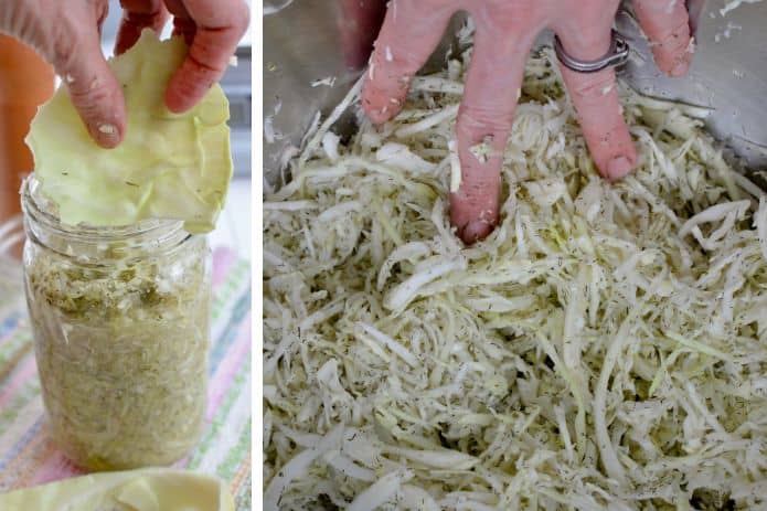 Dilly Delight Sauerkraut Recipe | makesauerkraut.com