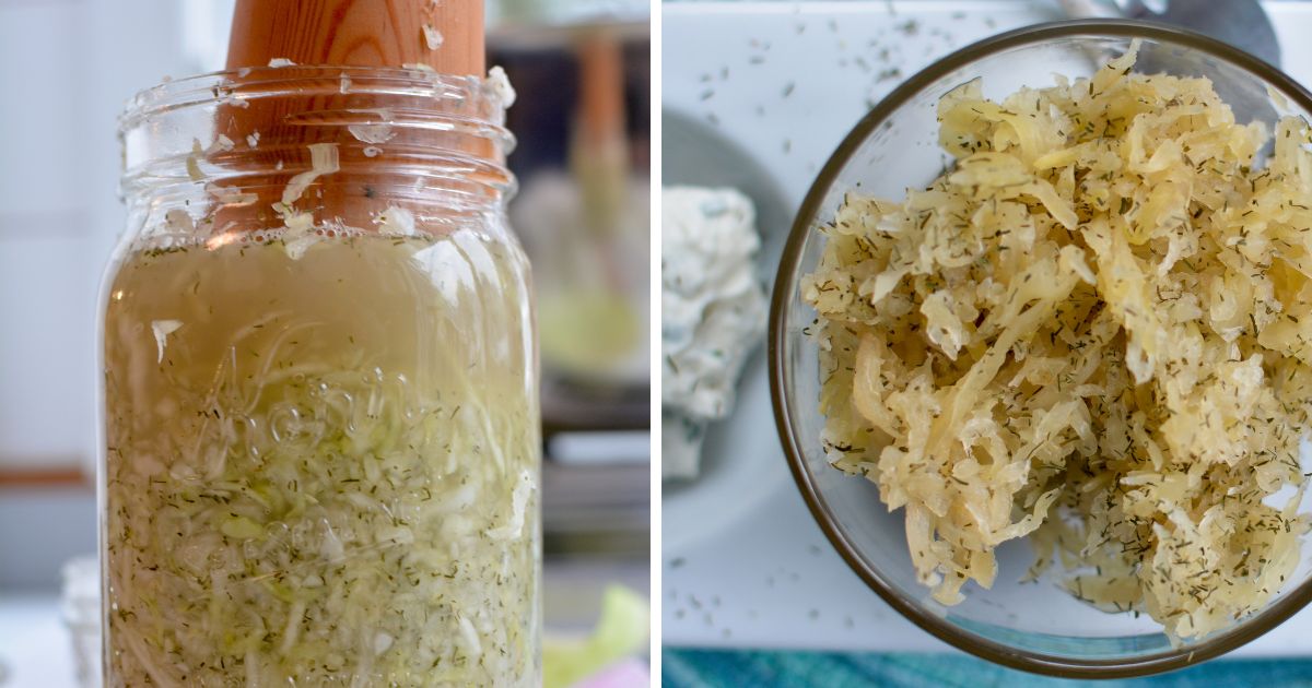 Dill Sauerkraut Recipe {Dilly Delight} MakeSauerkraut