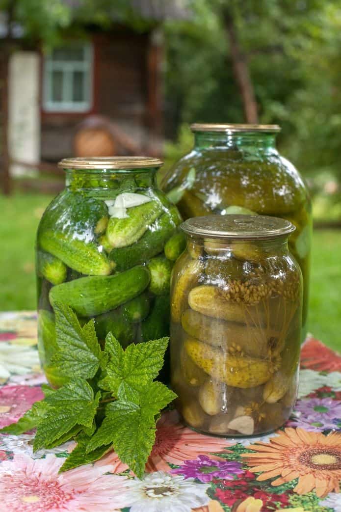 Jar of pickles before and after fermentation. | MakeSauerkraut.com
