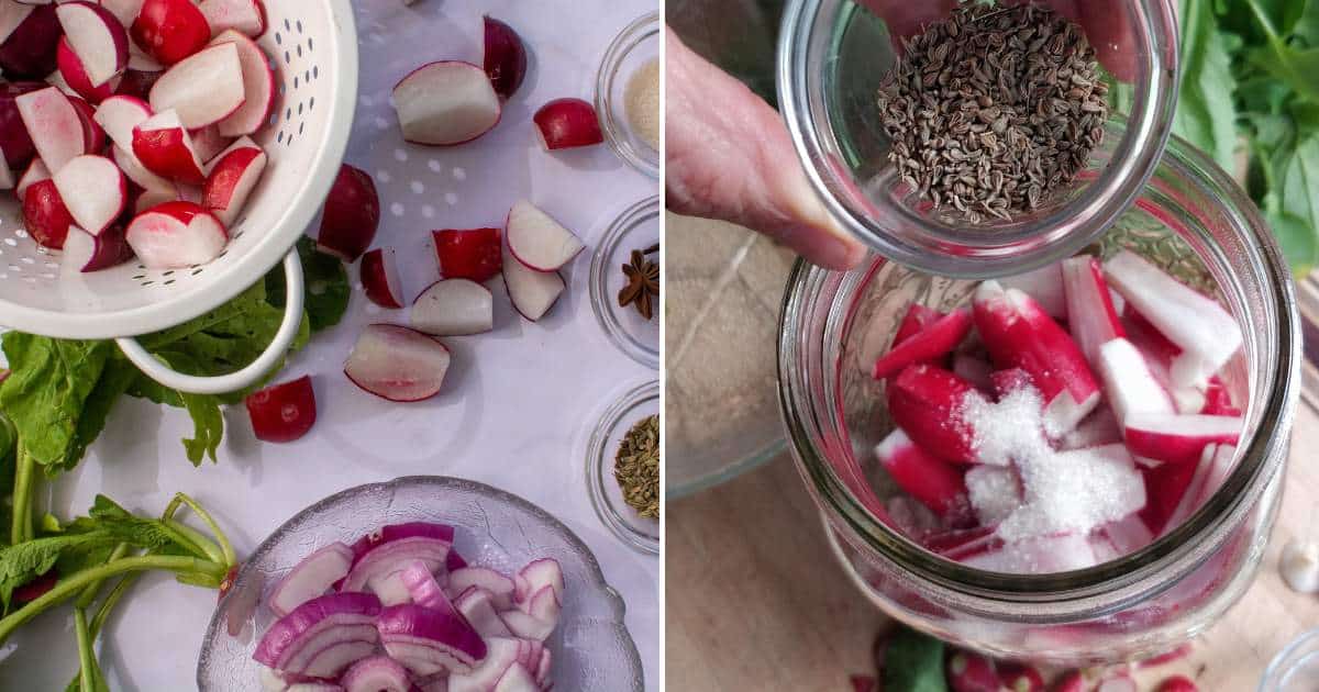 Fermented Radish Pickle Recipe {Simple} MakeSauerkraut