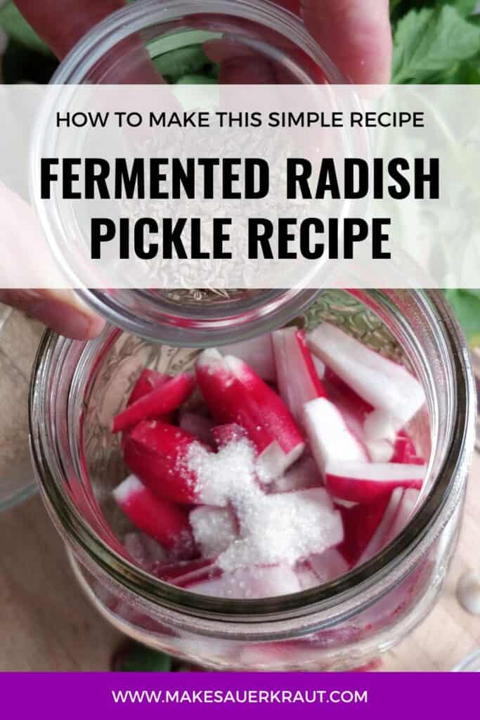 Fermented radishes in a jar with text overlay How to make this simple recipe Fermented Radish Pickle Recipe. | MakeSauerkraut.com