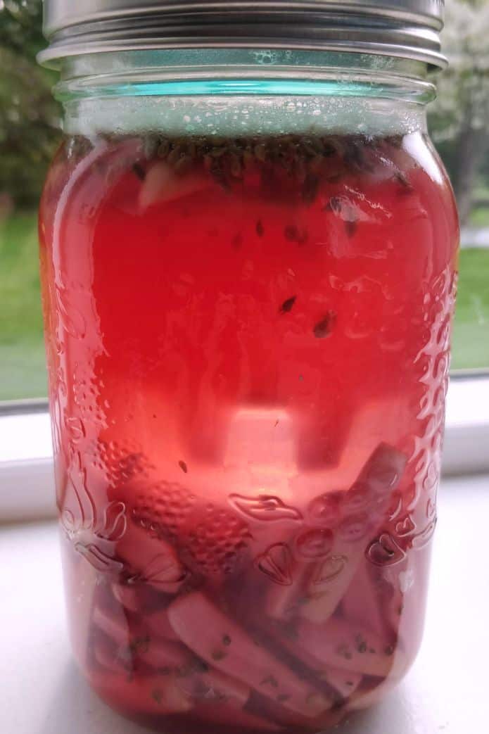 Jar of radishes with a pink-infused brine. | MakeSauerkraut.com