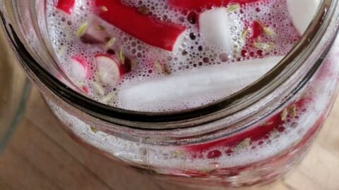Glass weight placed into jar of radishes prepared for fermentaiton. | MakeSauerkraut.com