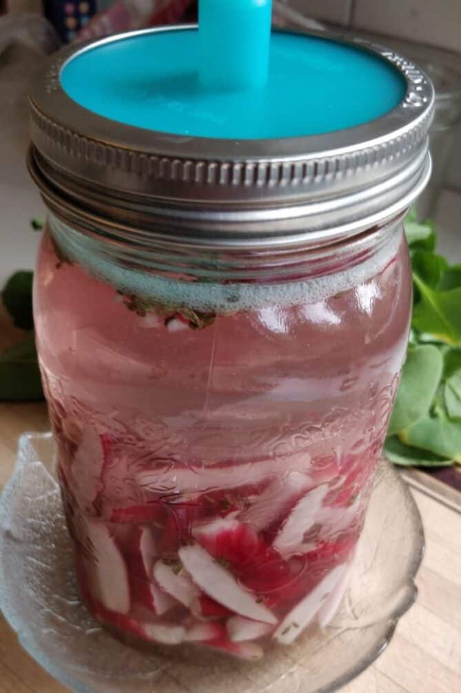 Fermented Radish Pickle Recipe {Simple} MakeSauerkraut