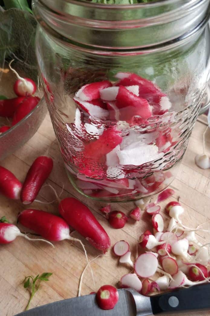 Fermented Radish Pickle Recipe {Simple} MakeSauerkraut